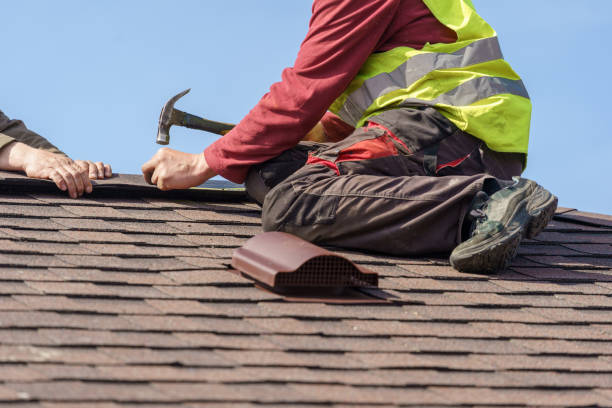 Best Roof Maintenance Services  in Stevensville, MT