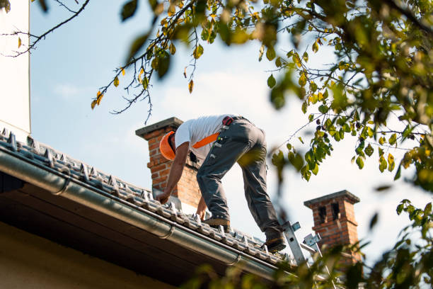 Best Emergency Roof Repair  in Stevensville, MT