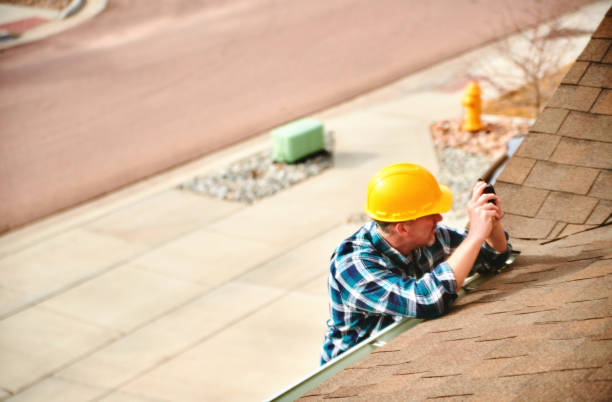 Best Roof Gutter Cleaning  in Stevensville, MT