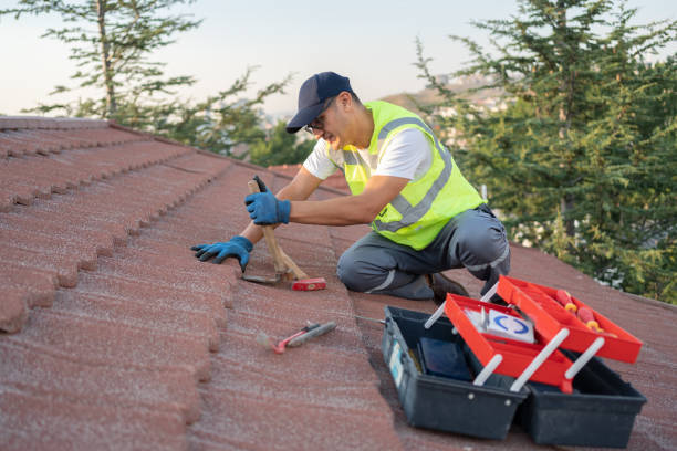 Best Residential Roof Replacement  in Stevensville, MT