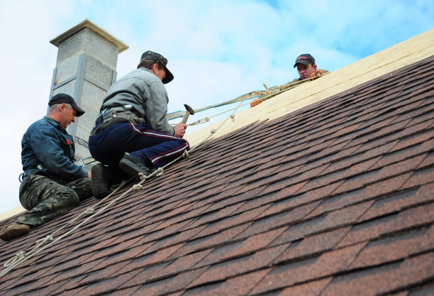 Best Local Roofing Companies  in Stevensville, MT